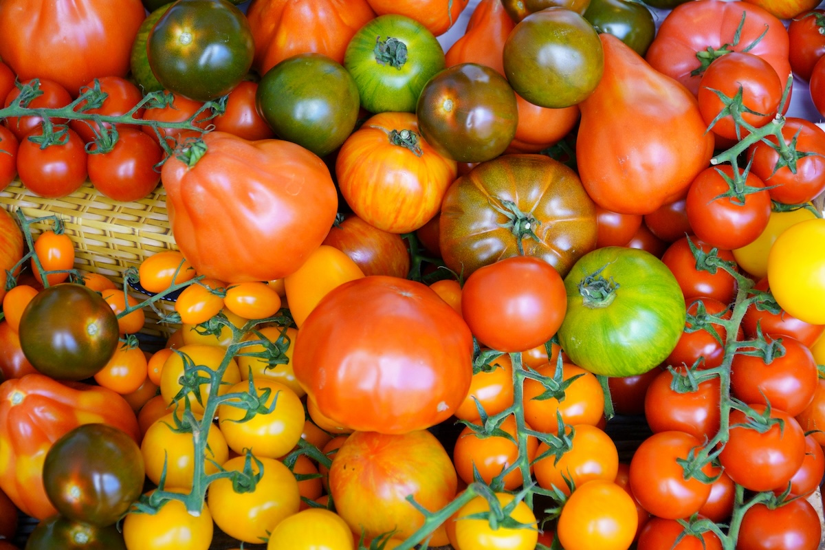 A huge variety of fresh tomatoes.